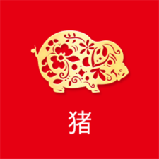 猪