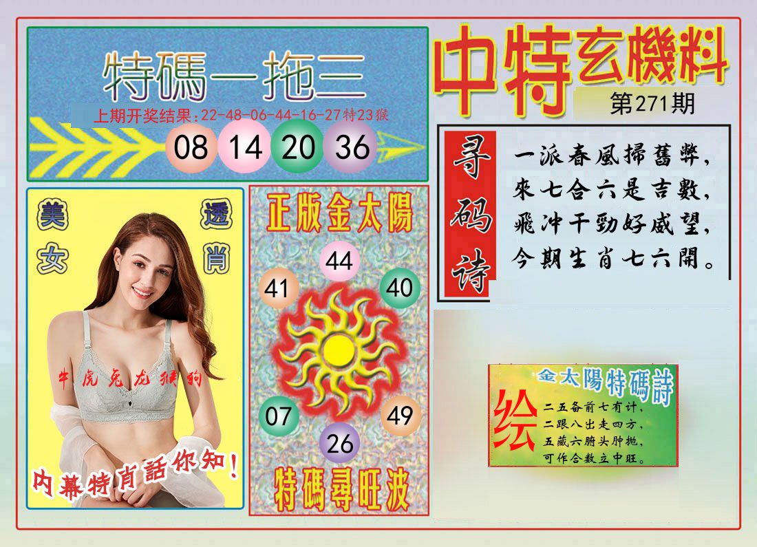 中特玄机料 第271期