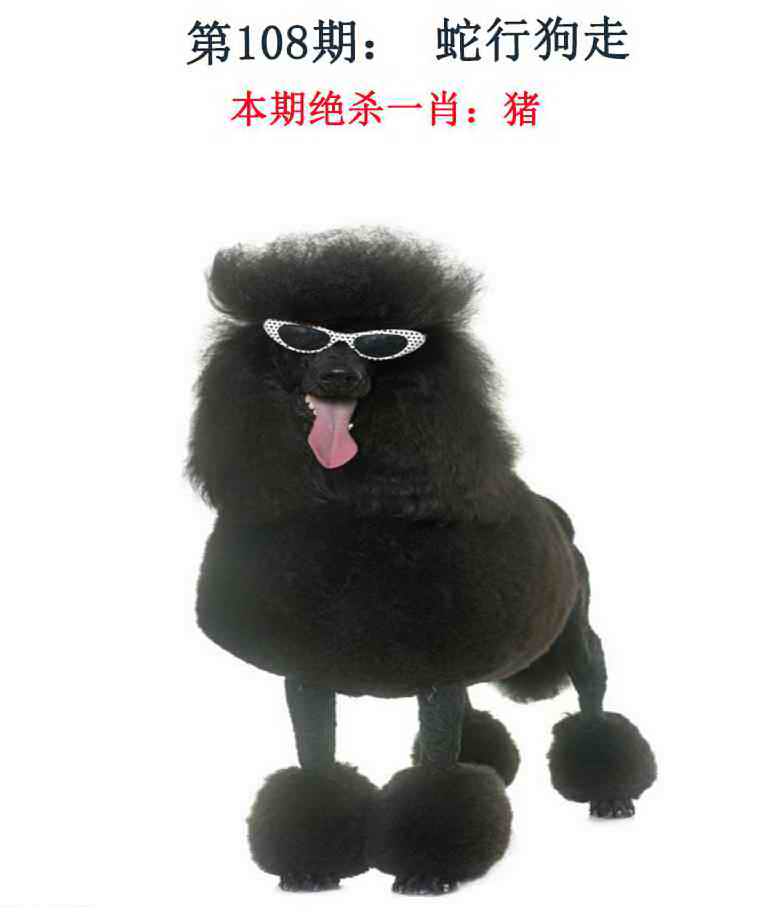 金钱豹自有真功夫 第108期