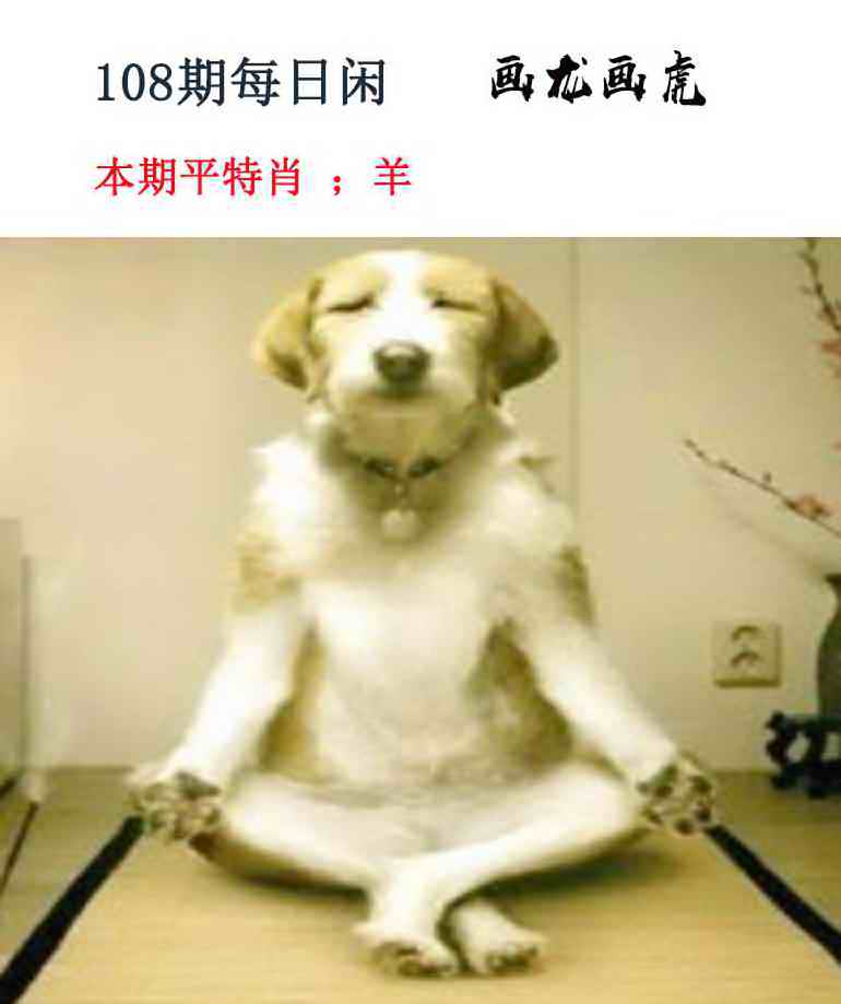 每日闲情 第108期