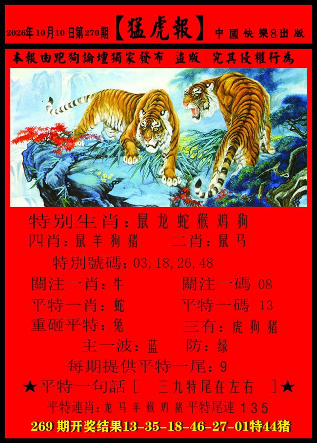 猛虎报 第270期