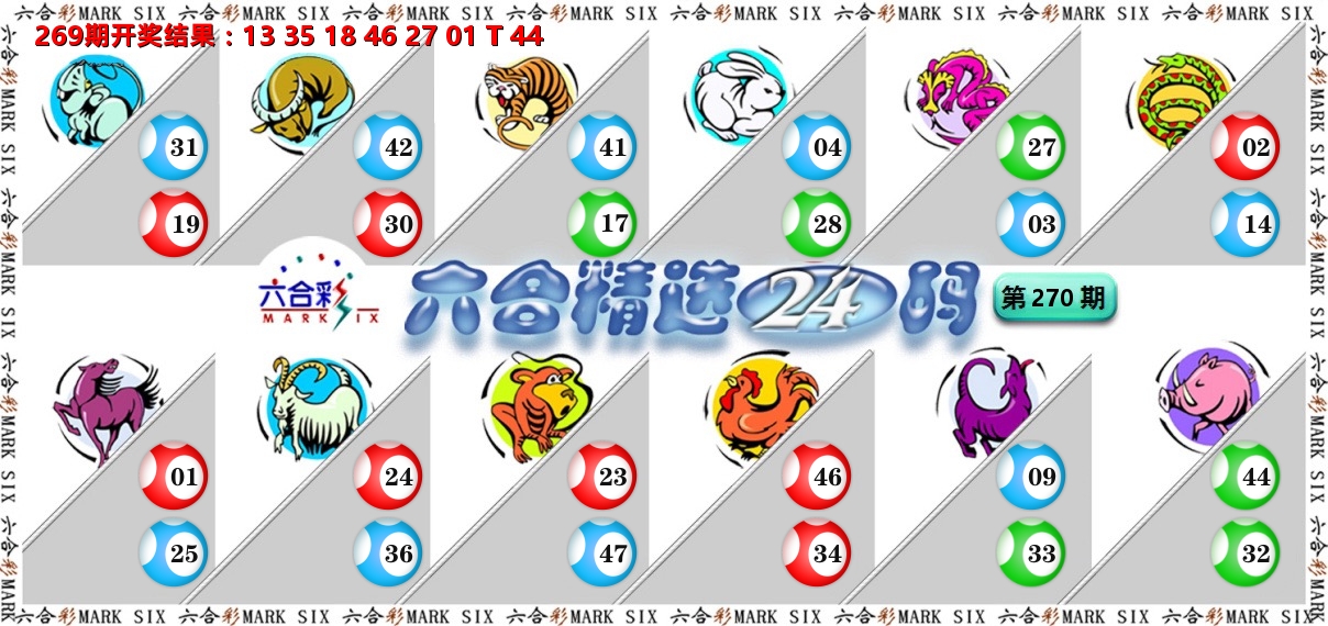 六合精选24码 第270期