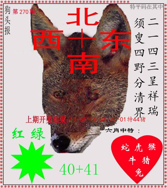 狗头报 第270期