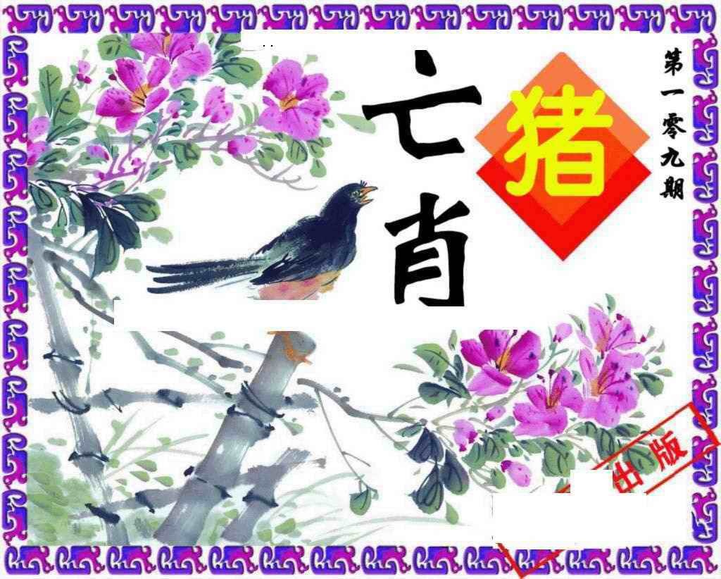 神鸟版 第108期