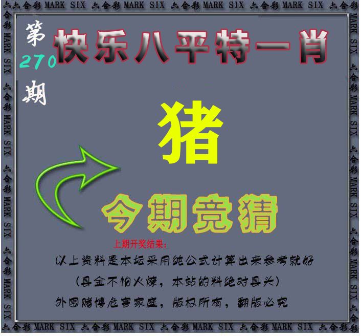 今期竞猜 第270期