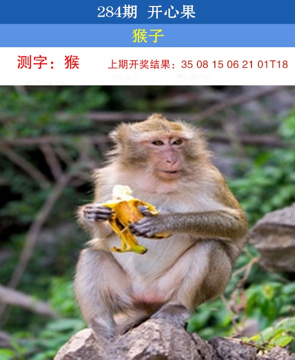 开心果 第283期
