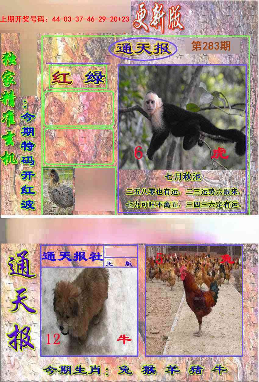 新通报 第283期