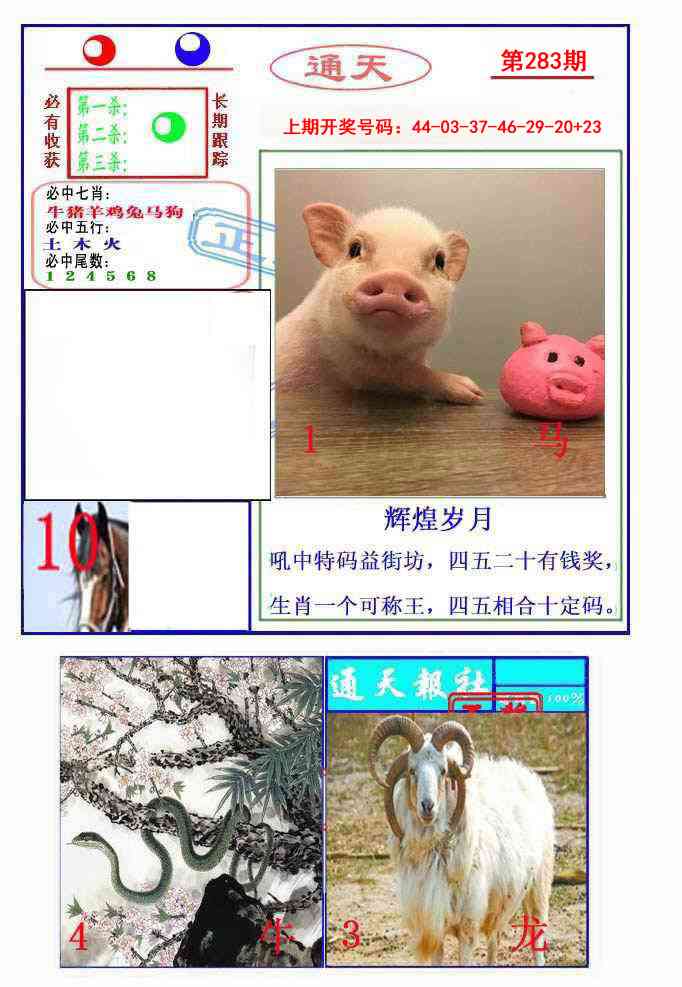 通天杀波图2 第283期
