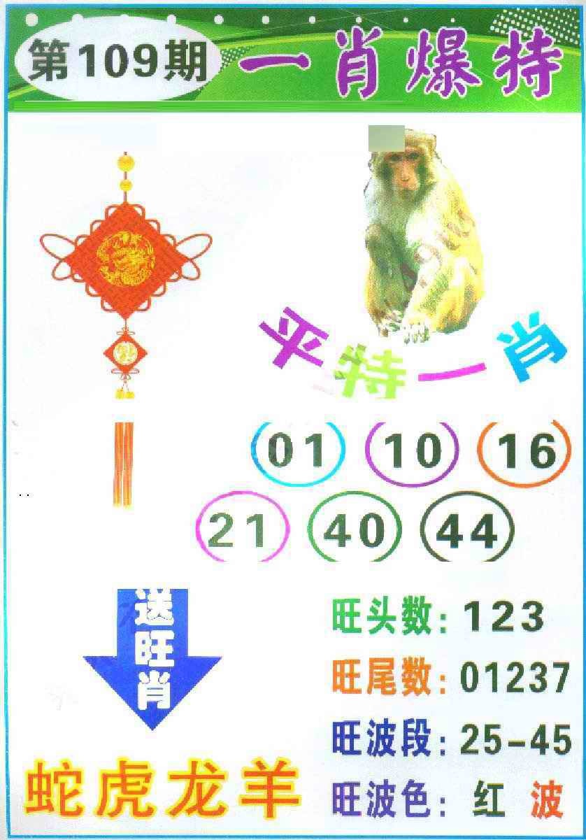 一肖爆特 第108期