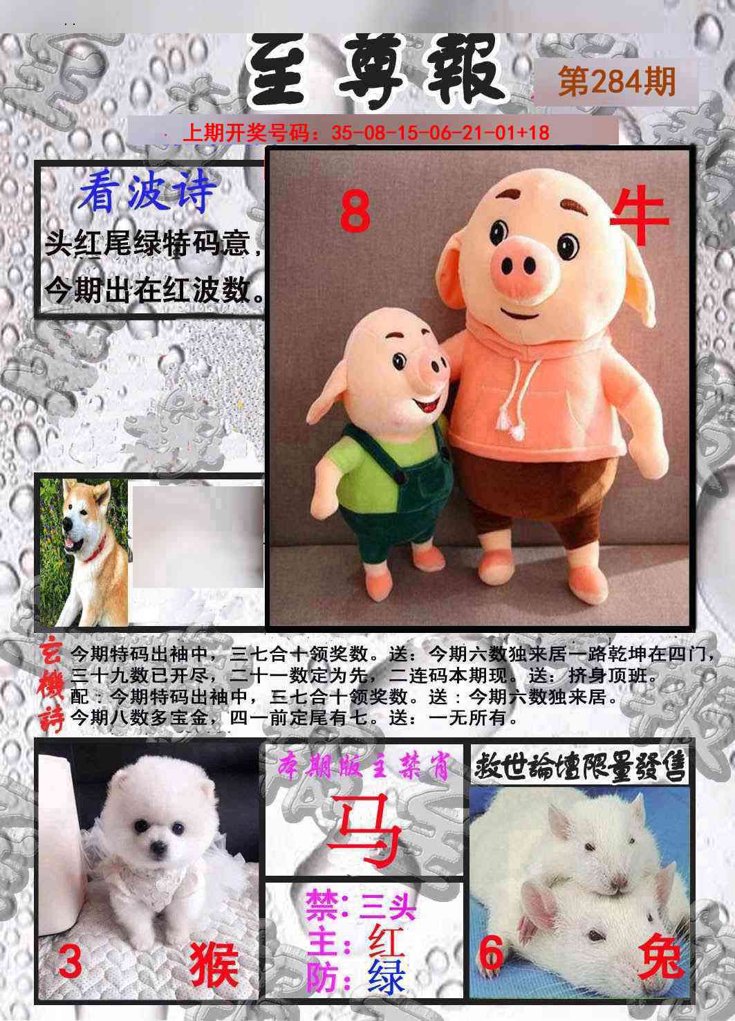 至尊报 第284期
