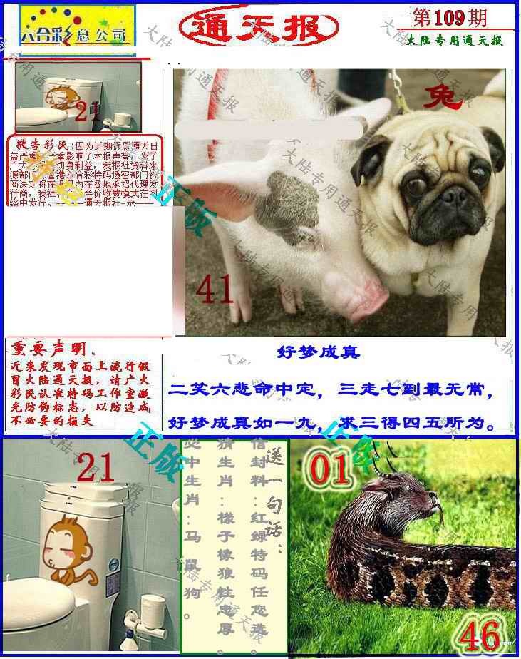 大陆通天报 第108期