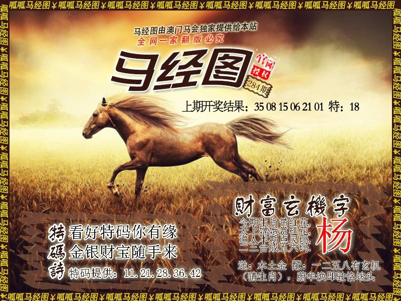 马经10 第284期
