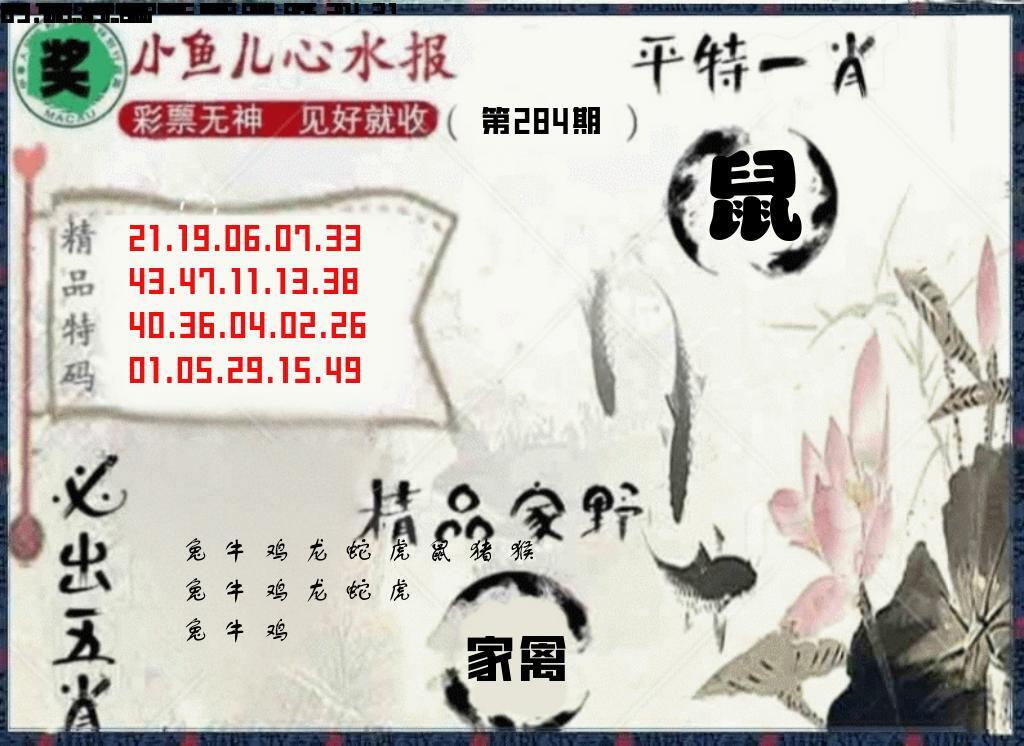 20码中特 第284期