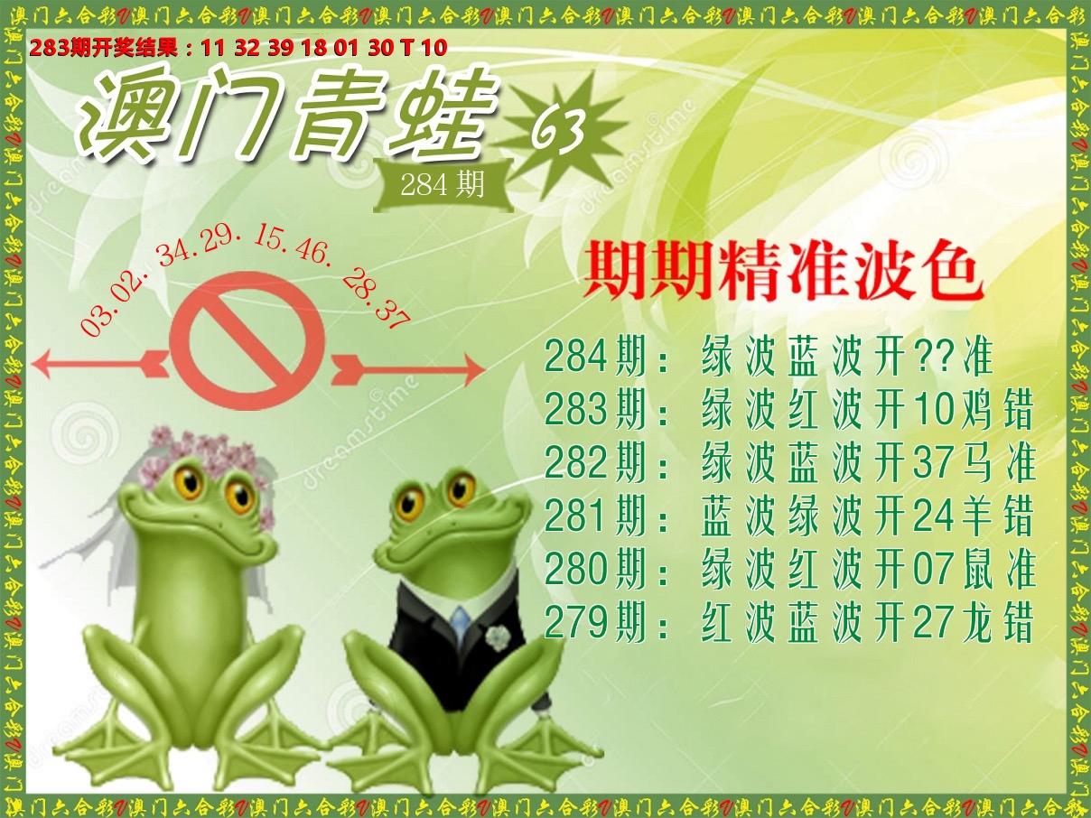 青蛙系列63 第284期