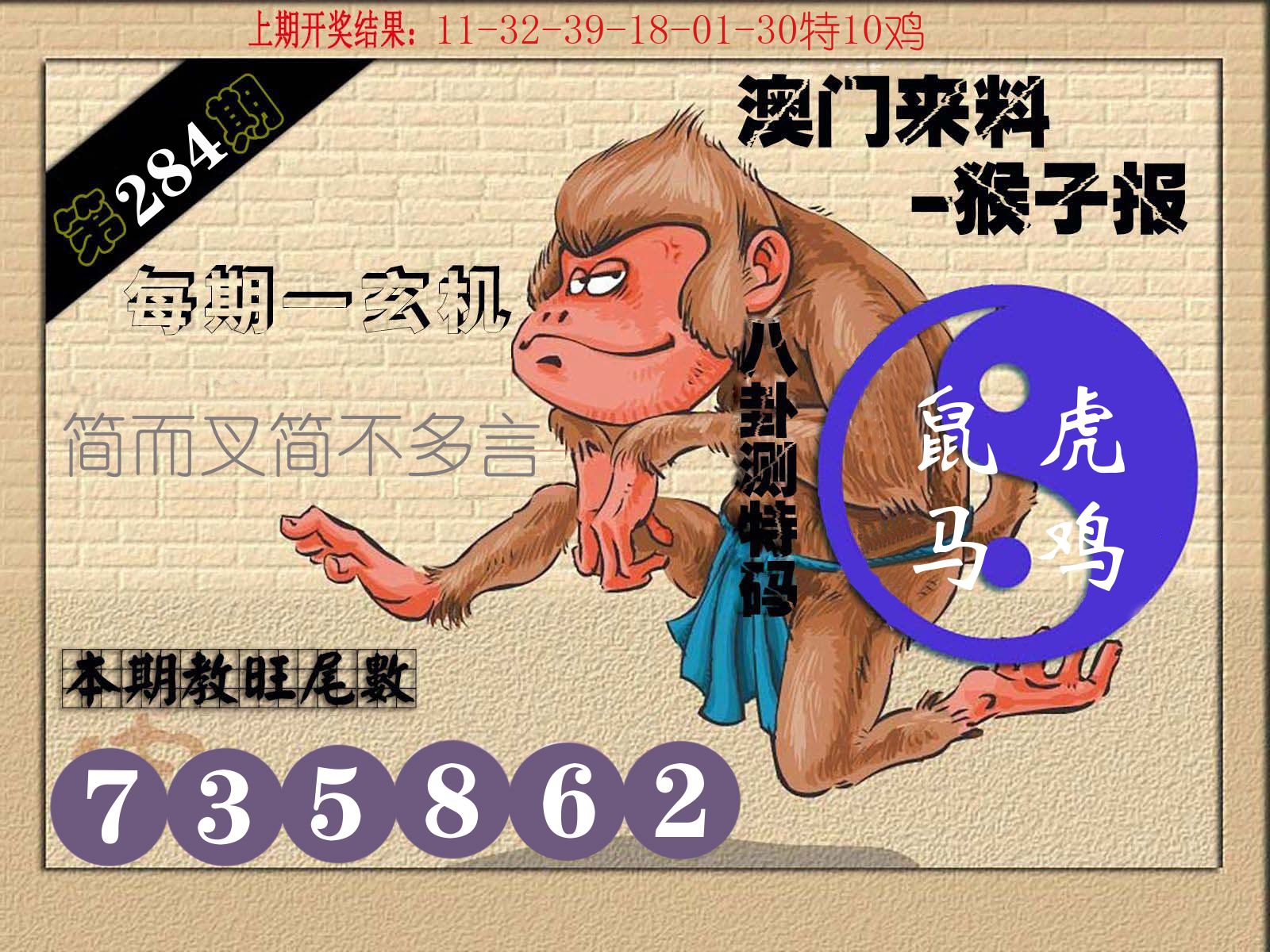 猴子报 第284期