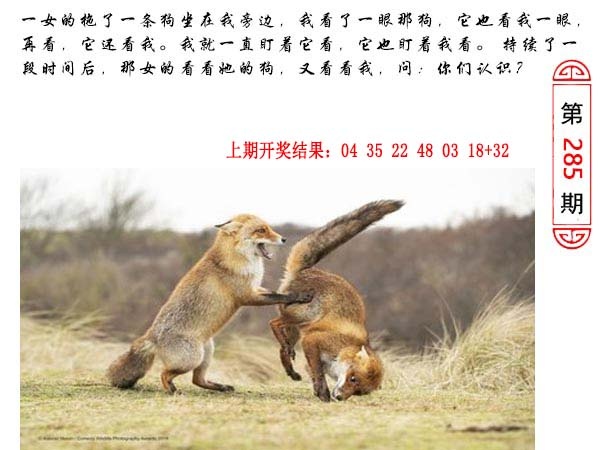 澳门生活幽默 第285期