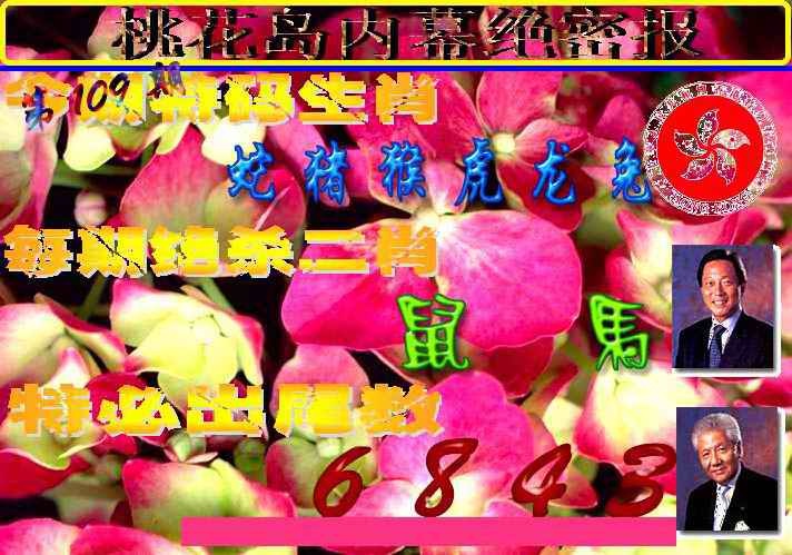 桃花岛内幕报 第109期