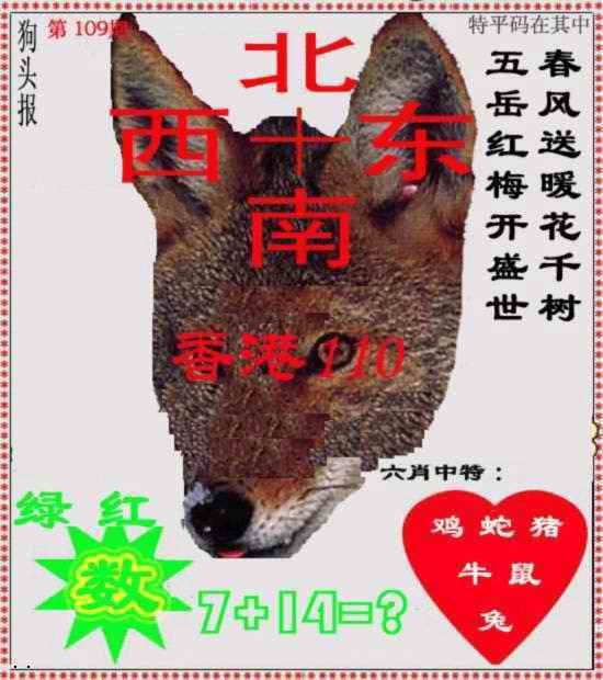 狗头报 第109期