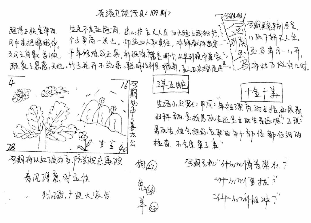 正版手写九龙 第109期